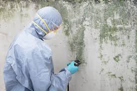 Best Mold Removal for HVAC Installations  in Oatfield, OR